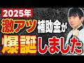 【超有益】2025年はあの補助金が超絶使いやすくなるので補助金のプロが解説します