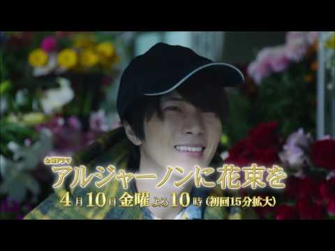 山下智久主演《獻給阿爾吉儂的花束》開播，致日劇男神的臉和我們的青春