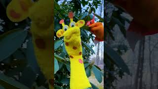 Giraffe Meets Fox shorts