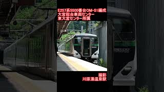 【JR東日本】E257系5500番台OM 51編成　川原湯温泉駅通過