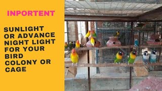 Inportent Sun Light Or Led Light For Your Bird Cage Or Colony||Indoor Lighting For Birds