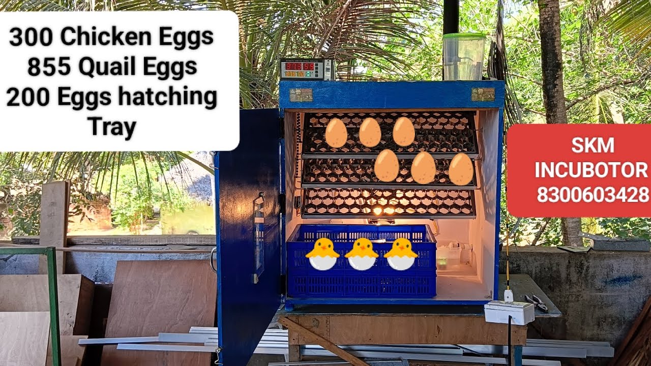306Chicken Eggs+885Quail Eggs Fully Automatic Incubator (200 Eggs ...