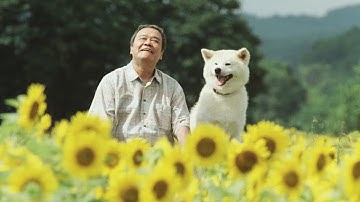 『星守る犬』（2011）予告編