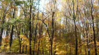 20091028-Geroge Washington Memorial Parkway.mpg