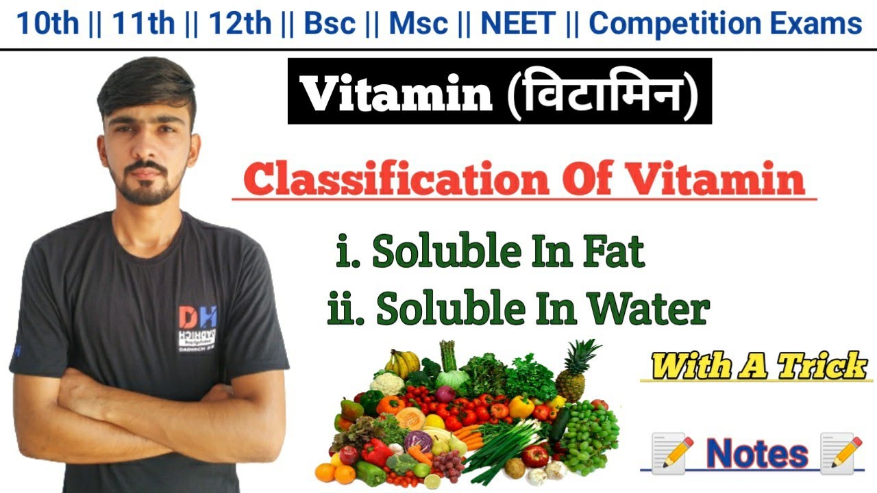 essay about vitamin in hindi