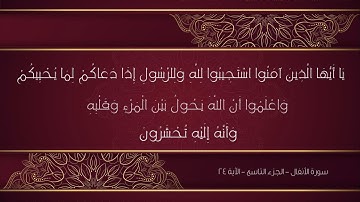 ياأيها الذين آمنوا استجيبوا لله وللرسول إذا دعاكم لما يحييكم / درر الآيات / بصوت عامر الجيرودي