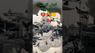 dare nabi par para  | heart touching naat | #shortsfeed