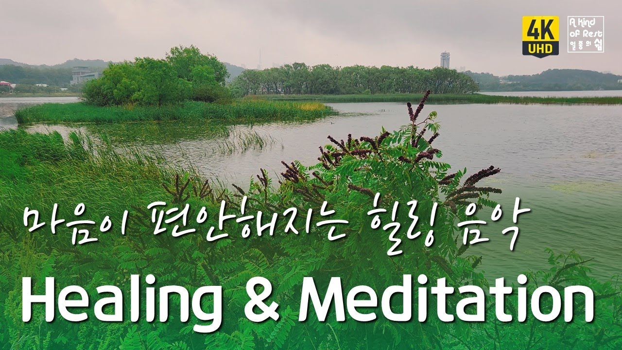 🧘♀️힐링 & 명상 / 마음을 편안하게 해주는 음악 🌧비내리는 호수 🦆새소리와 음악, 쉼명상🎵 Meditation with ...