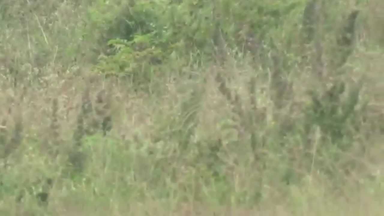 1200sqft Land for Sale 60L in Anjanapura Town , Bangalore Refind