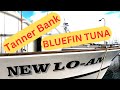 New lo an point loma sportfishing tanner banks bluefin tuna fishing how to rig weighted fly line