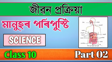 Class 10 Science Chapter 6 Life Process in Assamese | মানুহৰ পৰিপুস্টি । SEBA | Let