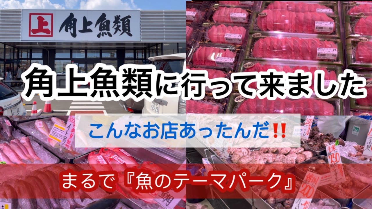 魚専門店『角上魚類』へ行って来ました。まるで魚のテーマパーク