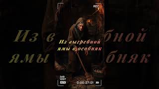 Из выгребной ямы в особняк.#факты #топ #топчик #история #shorts #reels #history #shortvideo #туалет