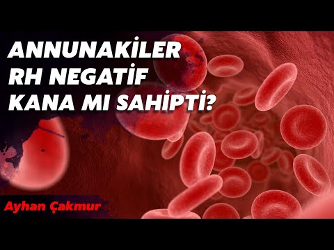 RH NEGATİF KANI OLANLAR BU DÜNYADAN OLMAYABİLİRLER Mİ? ANNUNAKİLER VE BASKLAR GİBİ?