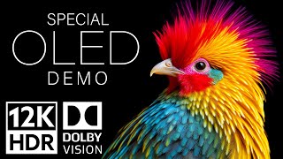 12K HDR Video ULTRA HD 120fps Dolby Vision - Special Oled Demo