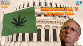 How Mitch McConnell Created, Then Destroyed, American Hemp & CBD