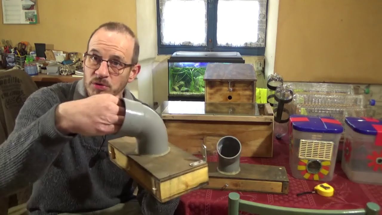 Frelon asiatique - Outils et stratégie (folle?) pour 2021