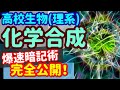 【高校生物 15】代謝【化学合成】を宇宙一わかりやすく