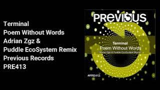 Terminal - Poem Without Words (Adrian Zgz & Puddle EcoSystem Remix) - Official Audio
