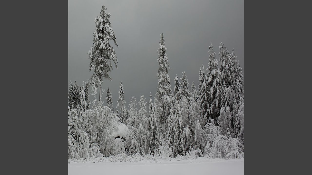 YouTube에서 Winter Winter 보기 YouTube에서 Winter Winter 보기