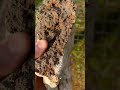 EPIC lace agate from Haunted Ridge Rocks