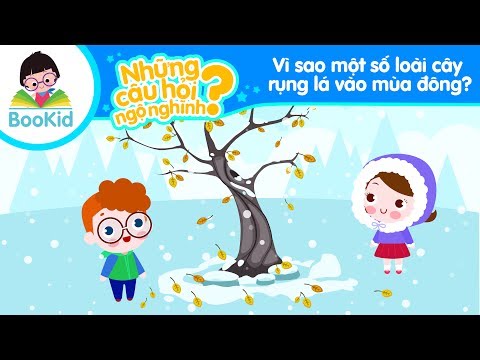 Khoa học cho bé | Những câu hỏi ngộ nghĩnh | Tập 3