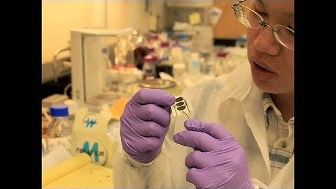 MSE337 Fall 2011 Pencil drawn chemical sensors on paper