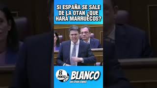 SI ESPAÑA SE SALE DE LA OTAN ¿QUE HARÁ MARRUECOS? #shorts #vox #abascal #marruecos #otan #españa