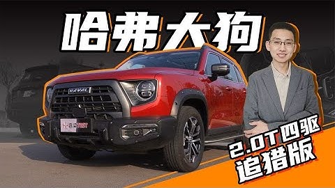 【嘉梁實測】詳細解讀，哈弗大狗2.0T四驅追獵版 - 天天要聞