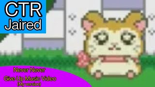 Never Never Never Give Up My Version Music Video