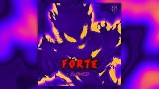 RAIZHELL - FORTE (Slowed) Resimi