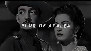 Jorge Negrete Flor De Azalea Letra