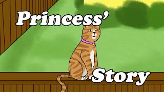 The Life of Princess