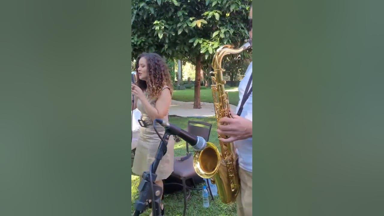 Várias queixas - Gilsons - música para casamento #casamento #cerimonia