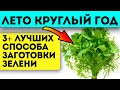 Соседка позавидует! Узнай, как иметь свежую зелень на столе даже в лютый мороз