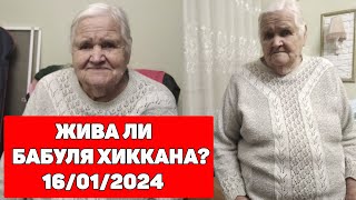 ЖИВА ЛИ БАБУЛЯ ХИККАНА? 16.01.2024