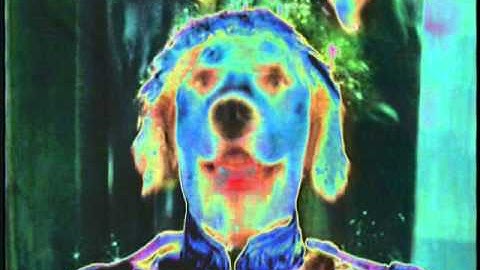 Teams -- Whxt Txrns U Xn?