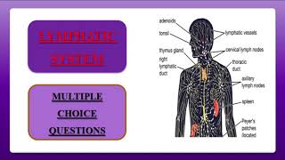 MCQ ON LYMPHATIC SYSTEM  /  LYMPHATIC SYSTEM  /  MULTIPLE CHOICE QUESTIONS  / NURSING  / PHARMACY