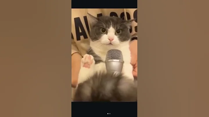 Watch the video about Cute singing cat#cat #cat #catvideos #cute #trending #funnycatvideos #catlover