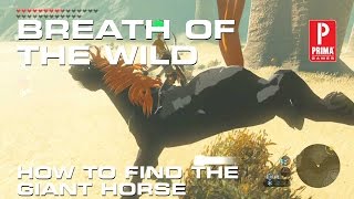 Legend of Zelda: Breath of the Wild - How to Find the Giant Horse