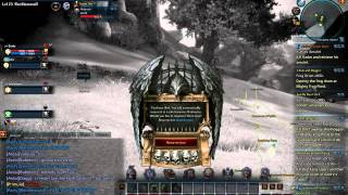 TERA Online - Party Antics The Adventures of a 5 man