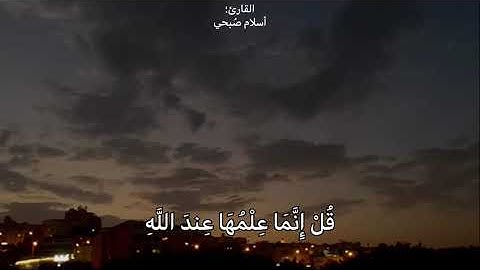 يسألك الناس عن الساعه | اسلام صُبحي | سورة الاحزاب | حالات واتس قرآنيه | قرآن تايم Qur2an time 🍃🤍