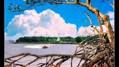 YouTube   VỀ ĐẤT MŨI Chu Thanh Hương