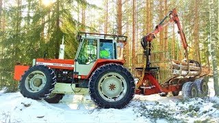 Massey-Ferguson 699 Metsäyhdistelmän Esittely.