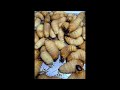 anvattuoitho97 đang phát trực tiếp!