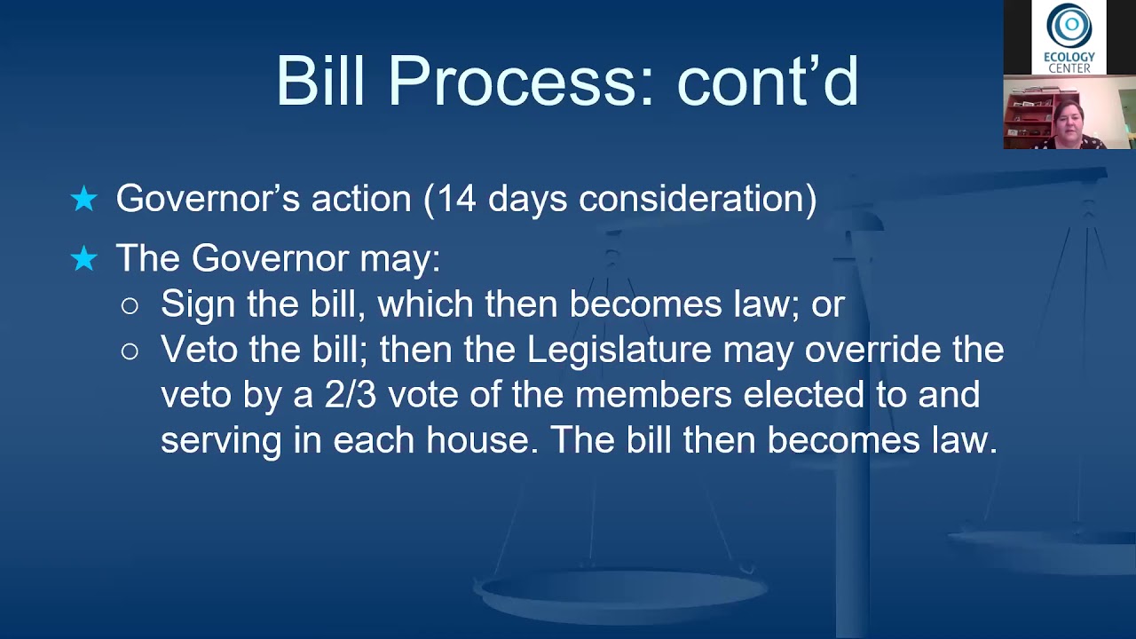 The Power of Your Voice Advocacy 101 YouTube