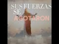 lo quiere aser con dios ya q soñé con el y es hermoso🥹💕#dios#padrenuestro#edit#💕