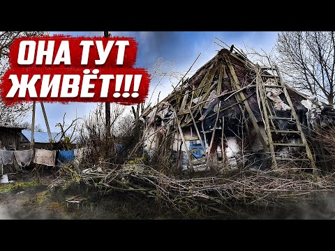 Video: Kako Sami Kuhati Pokrovski Sljez