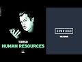 Torso - "Fat Vint"  (Liar Optimix)