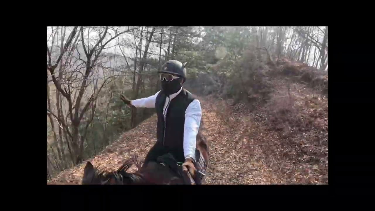 주인장없이 외승하는 도둑고양이들